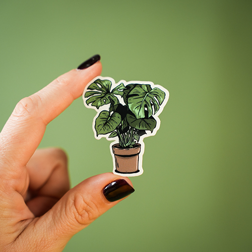 Sticker Monstera 🪴
